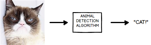 The result of machine learning